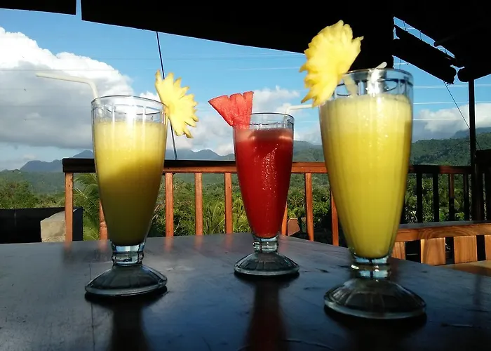 Menjangan View 3* バニュウェダン